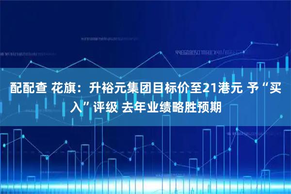 配配查 花旗：升裕元集团目标价至21港元 予“买入”评级 去年业绩略胜预期